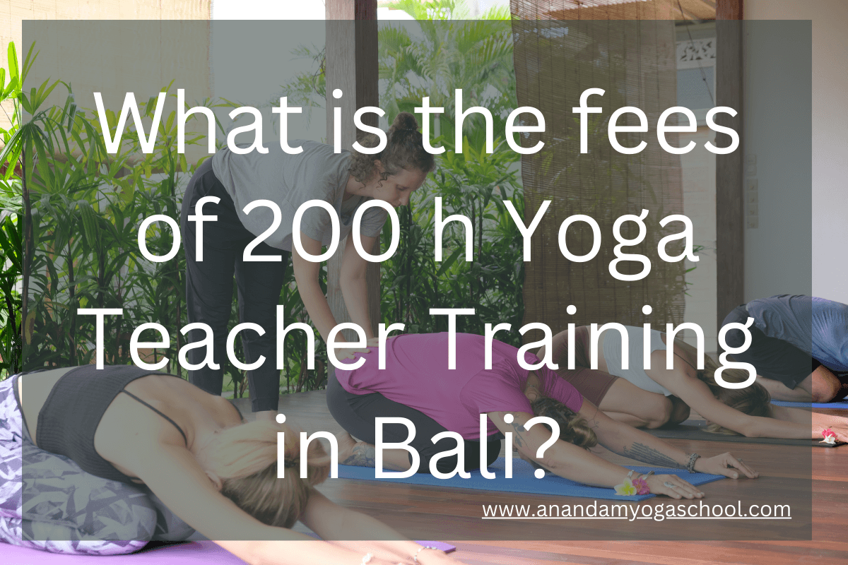 What is the fees of 200 h Yoga Teacher Training in Bali?